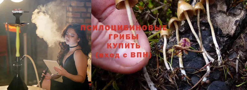 Галлюциногенные грибы Magic Shrooms  OMG зеркало  Лагань  наркотики 